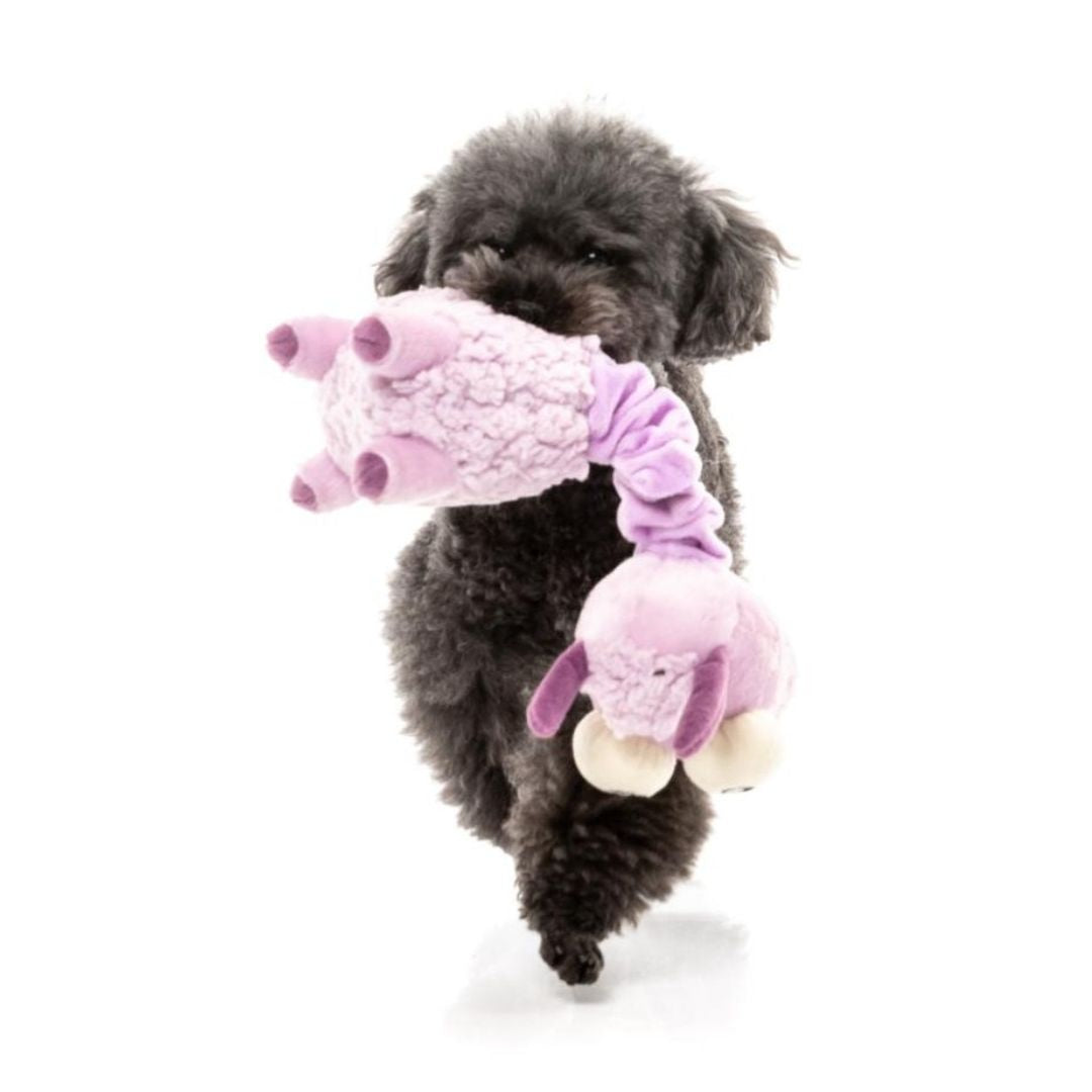 Fuzzyard-Neck-Minnit-Neckite-The-Lama-Hund