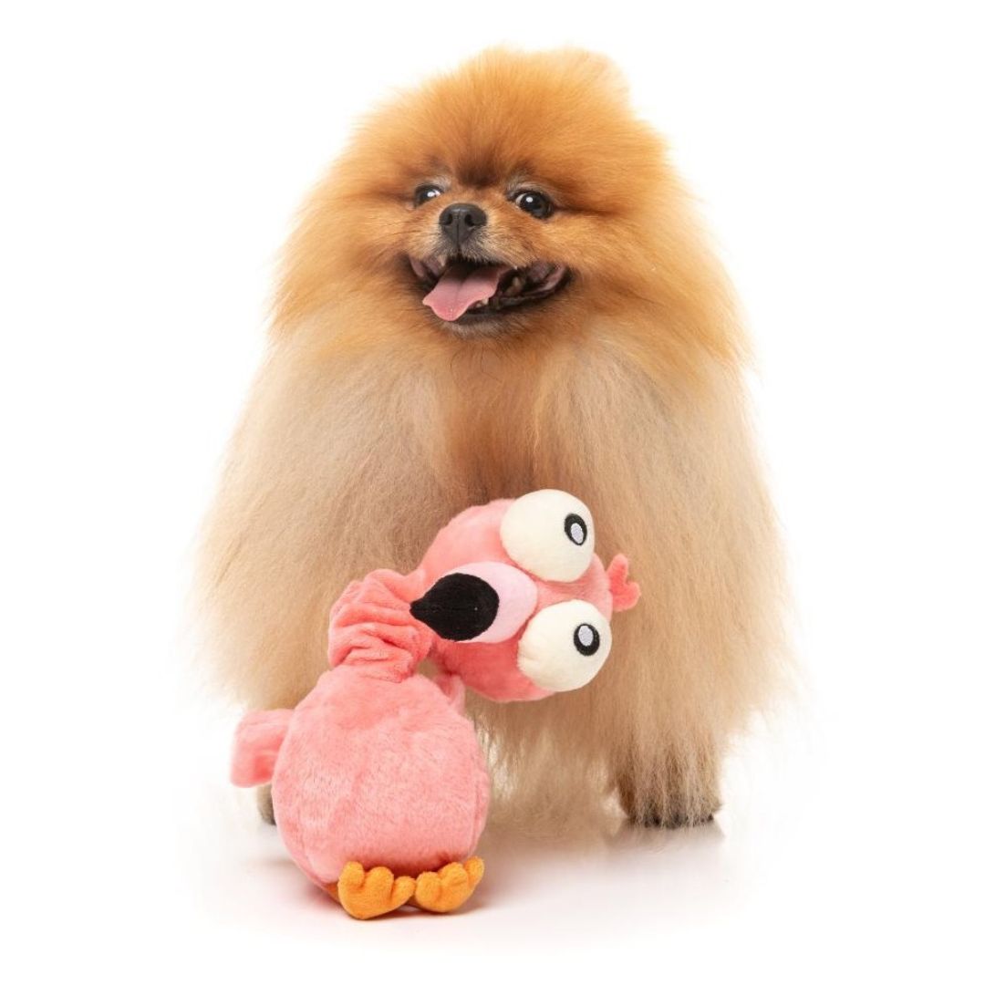 Fuzzyard-Neck-Minnit-Neckole-The-Flamingo-Hund