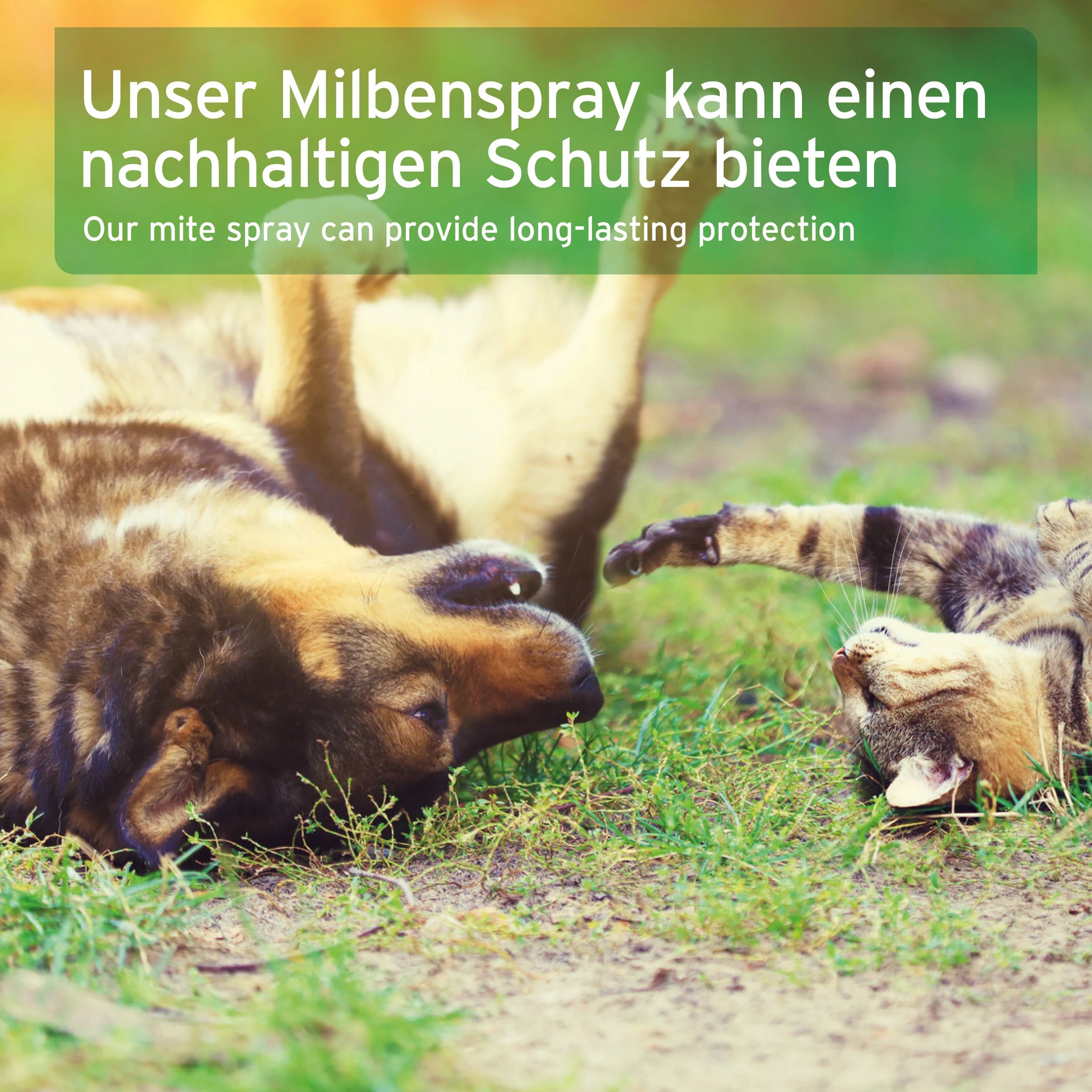 Milben-STOP Spray für Hunde, Katzen, Pferde & Co.