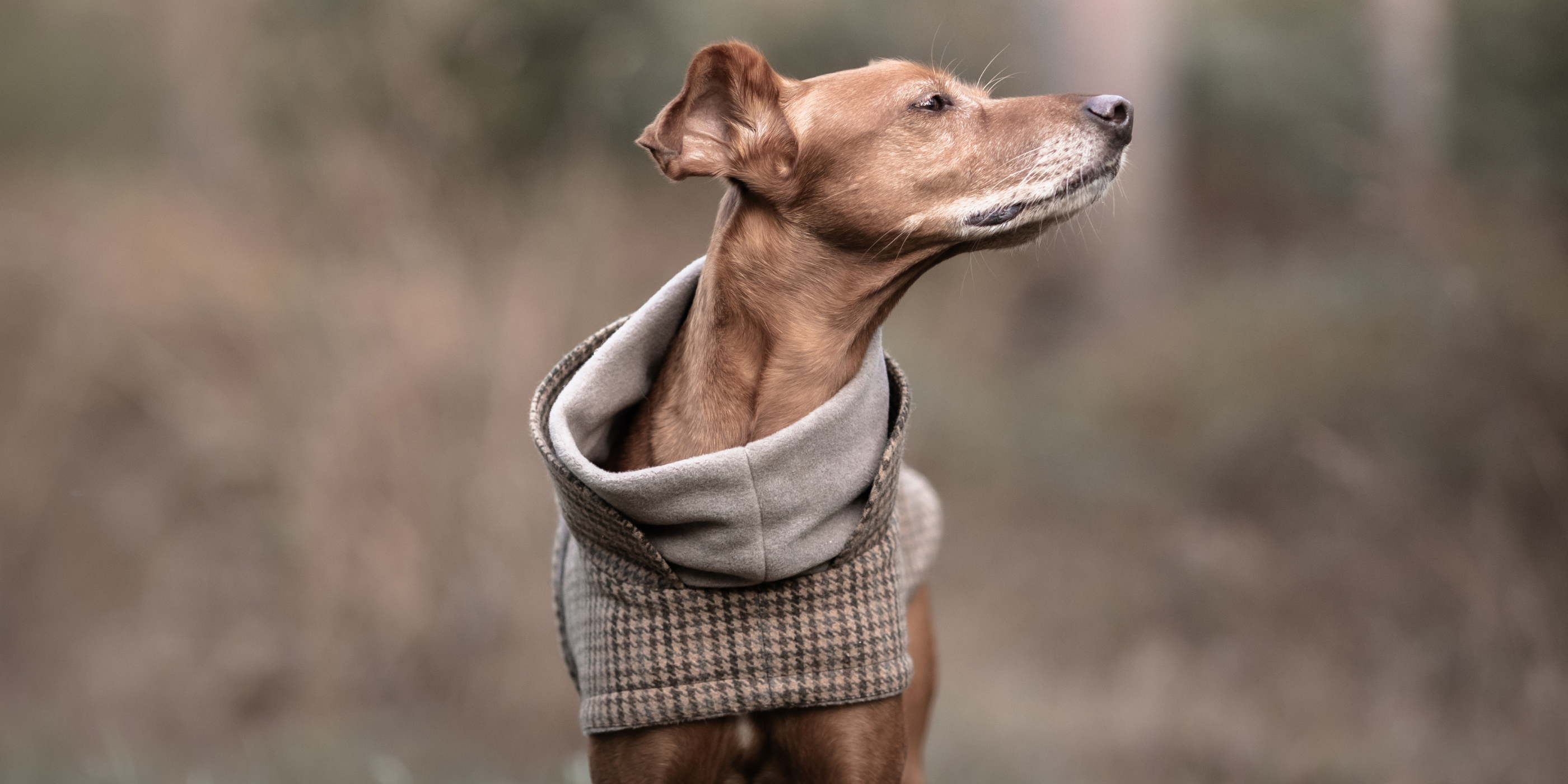 Kama Bridal Hundemantel-Set – 3 Fleece-Westen In Rot/Rosa/Lila, Kariert, Für Kleine/mittelgroße Hunde