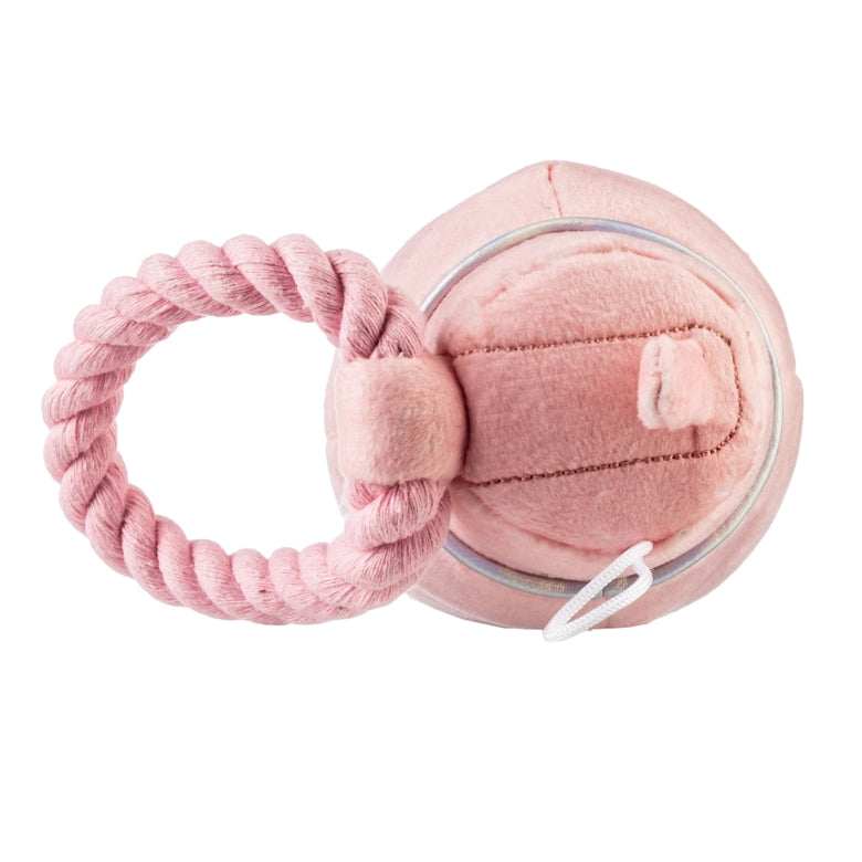 Haute-Diggity-Dog-Pawlates-Princess-Water-Bottle-3