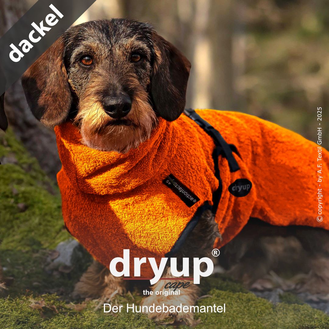 Hundebademantel-Dryup-Cape-Dackel-Clementine