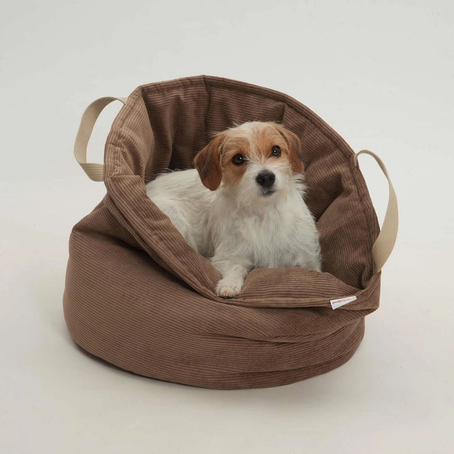 Hundebett-Shopper-Little-Basket-Chelsea-Cord-Toffee-Hund