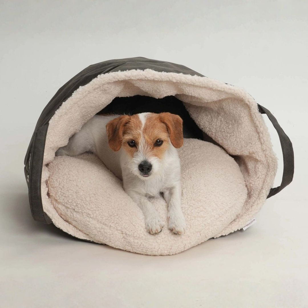 Hundebett-Shopper-Little-Basket-Saddle-Graphit-Hund-2