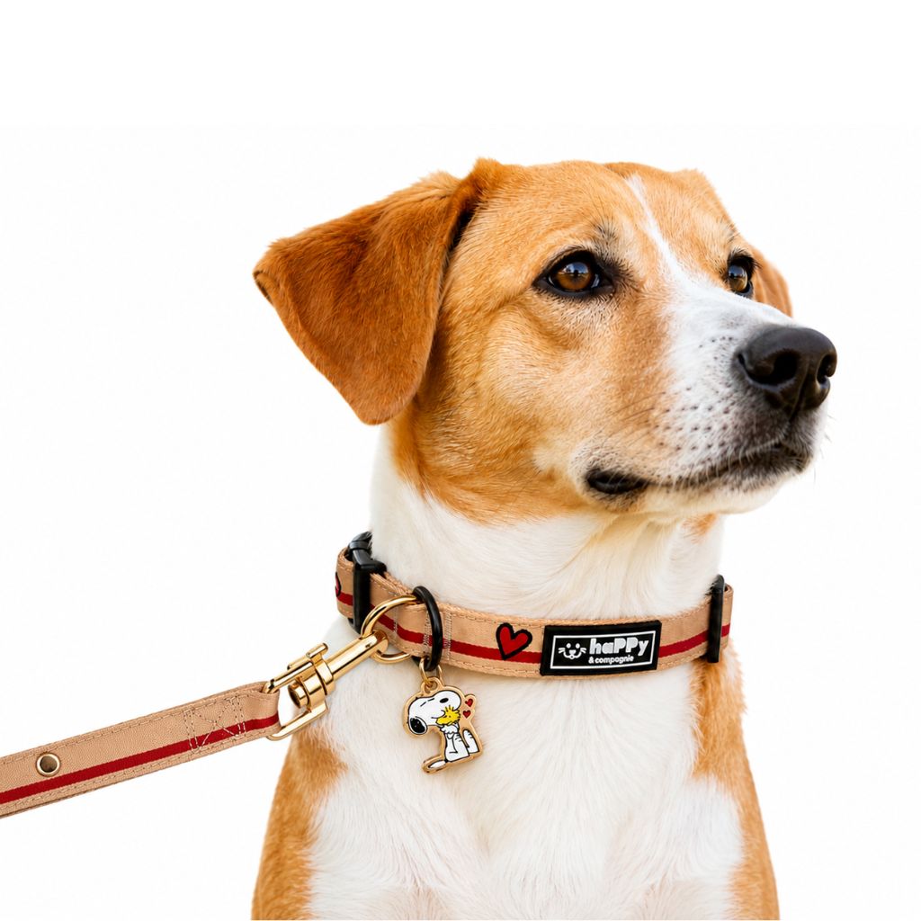 Hundeleine-Snoopy-Beige-Mood