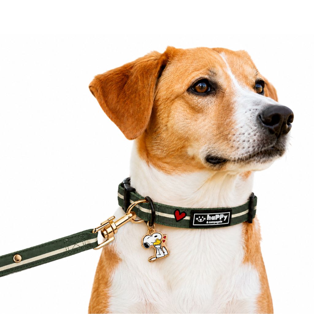Hundeleine-Snoopy-Khaki-Mood