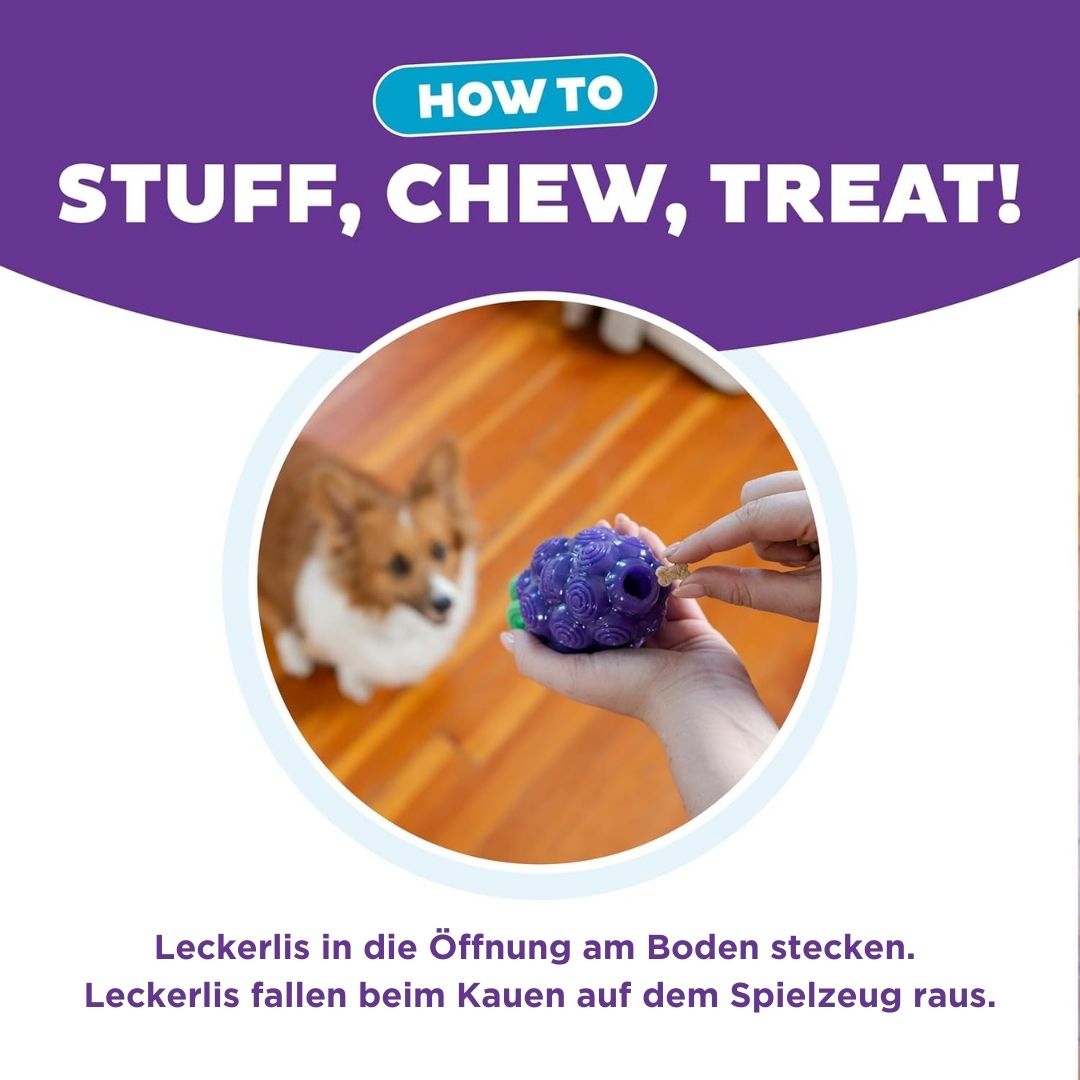 Hundespielzeug-Dental-Grapes-Lila-Planet-Dog-Befüllen