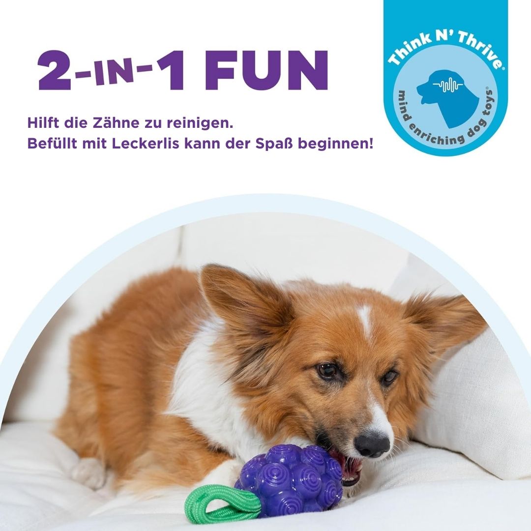 Hundespielzeug-Dental-Grapes-Lila-Planet-Dog-Mood