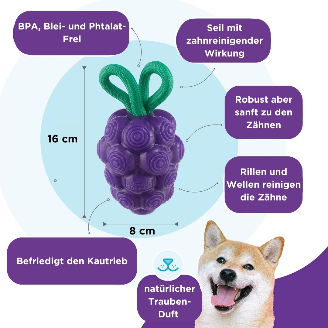 Hundespielzeug-Dental-Grapes-Lila-Planet-Dog-Vorteile