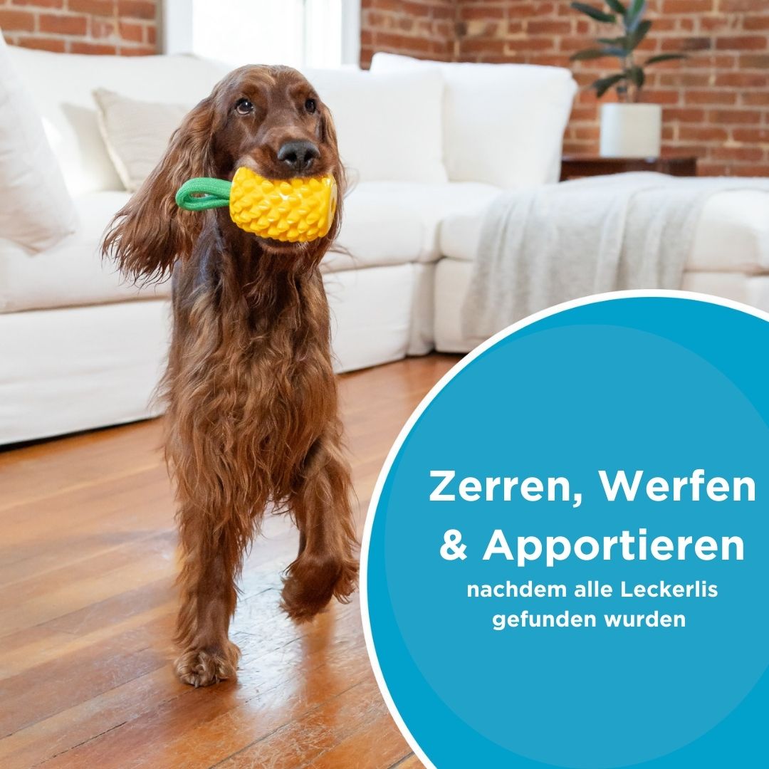 Hundespielzeug-Dental-Pineapple-Planet-Dog-Mood