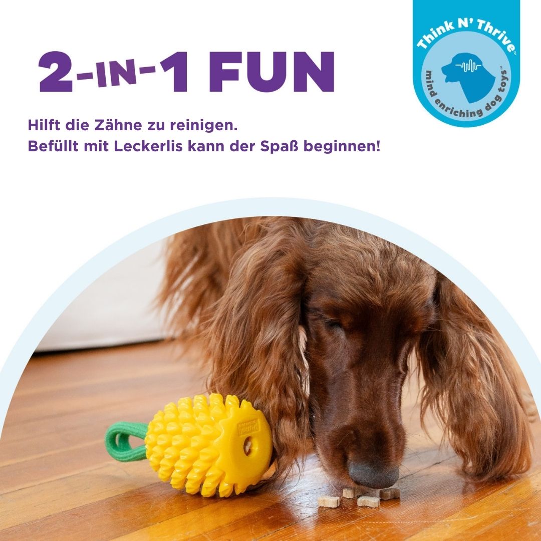 Hundespielzeug-Dental-Pineapple-Planet-Dog-Mood2