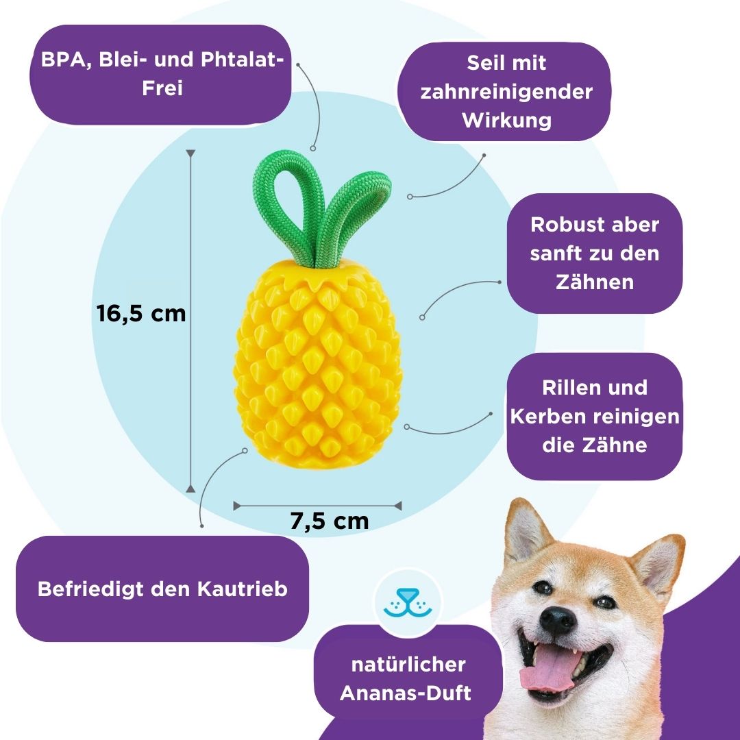 Hundespielzeug-Dental-Pineapple-Planet-Dog-Vorteile2