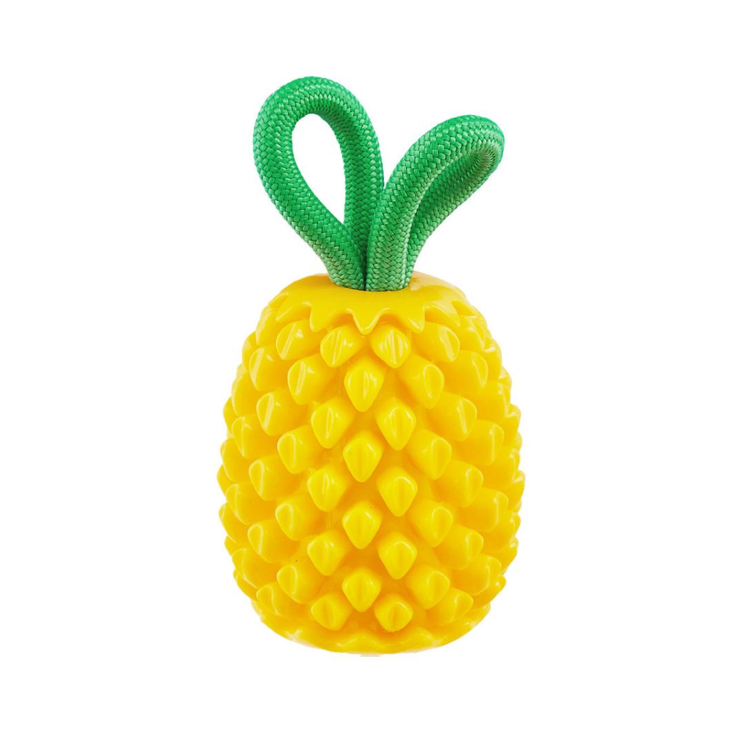 Hundespielzeug-Dental-Pineapple-Planet-Dog