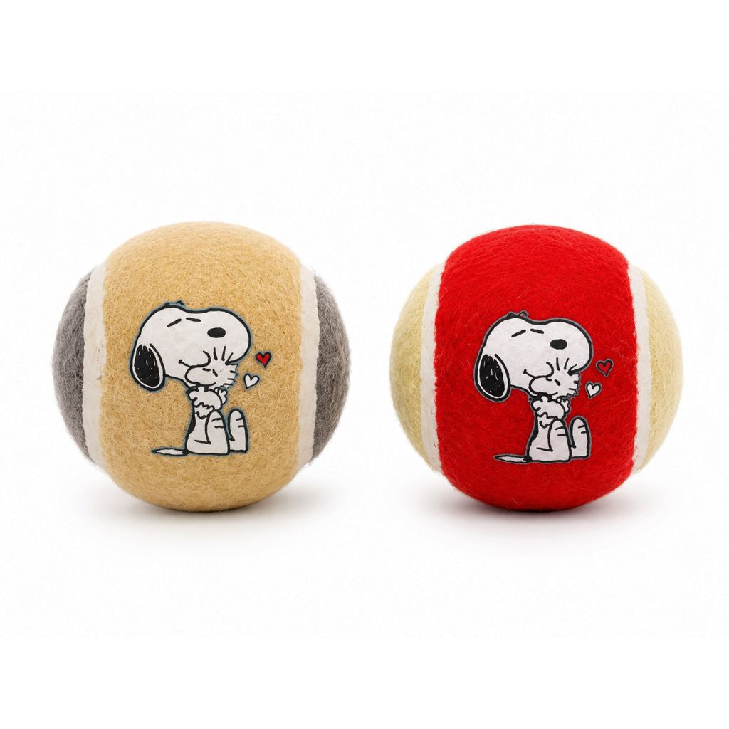 Hundespielzeug-Snoopy-Ball-2er