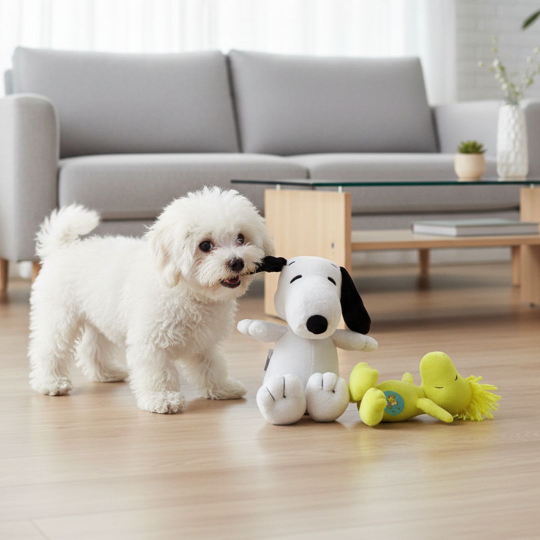 Hundespielzeug-Snoopy-Woofstock-5