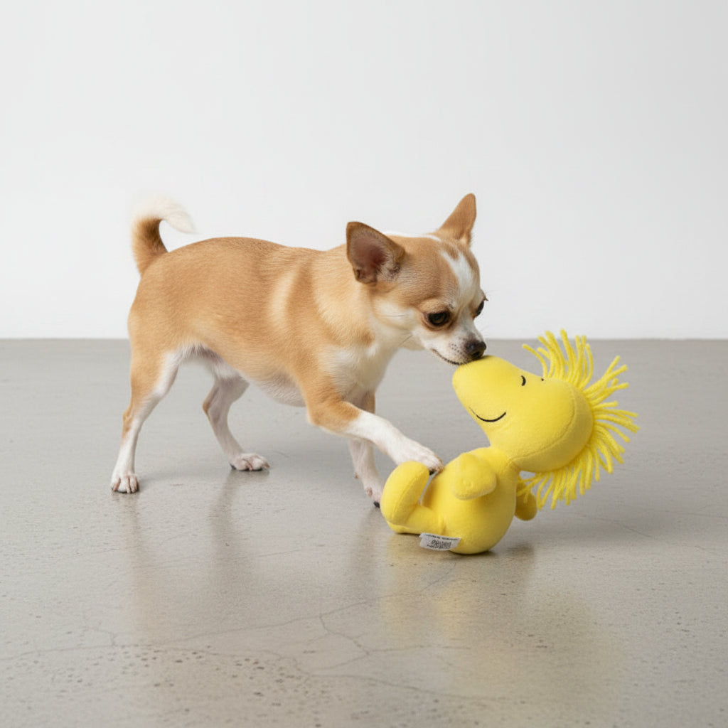 Hundespielzeug-Woodstock-Snoopy-Hund