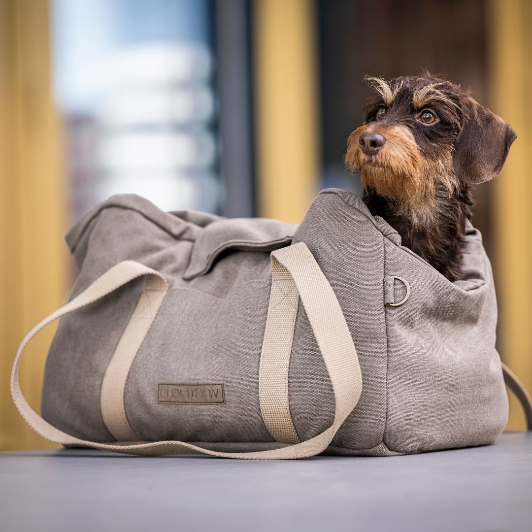 Hundetasche-Lucca-Canvas-Sand-C7-x-Woofstuff-Hund
