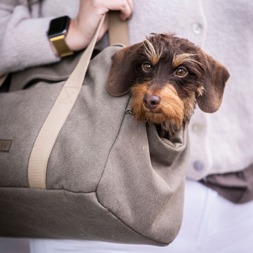Hundetasche-Lucca-Canvas-Sand-C7-x-Woofstuff-Hund4