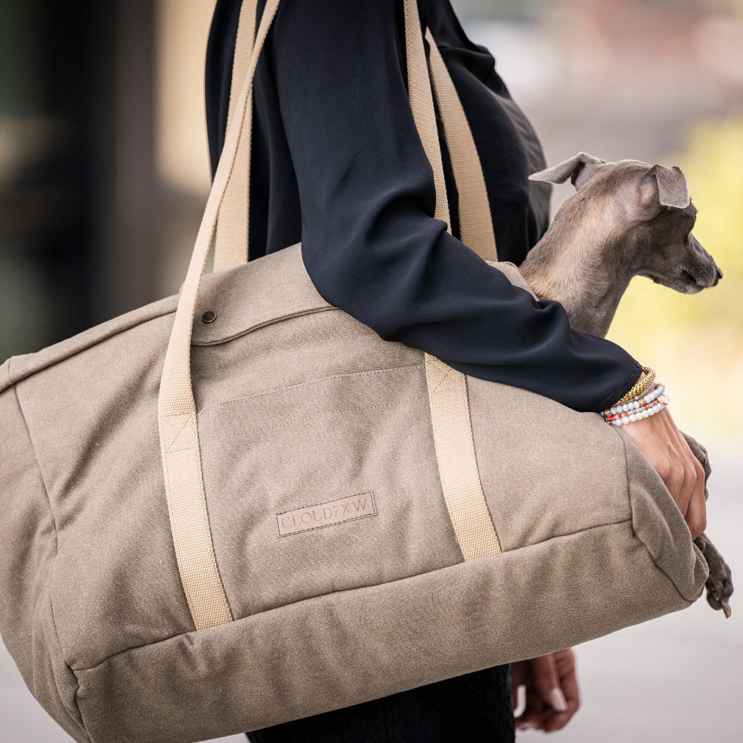 Hundetasche-Lucca-Canvas-Sand-C7-x-Woofstuff-Hund5