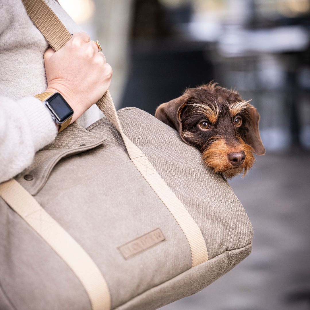 Hundetasche-Lucca-Canvas-Sand-C7-x-Woofstuff-Hund7