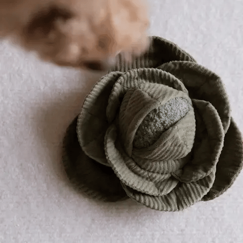 Schnüffelspielzeug Kohl Pop