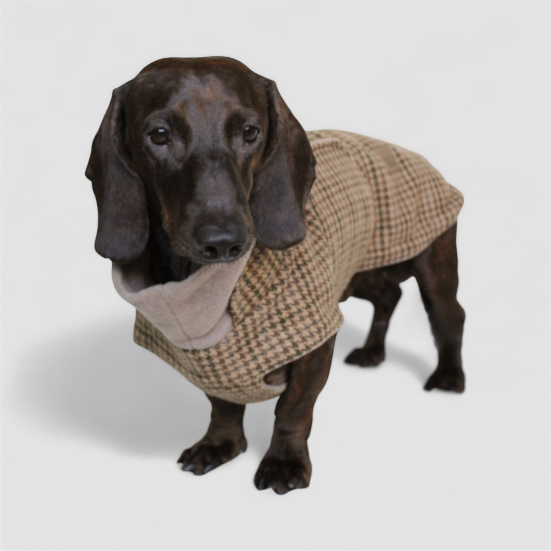 Hundemantel Brooklyn DACKEL Aristo C7 x Woofstuff