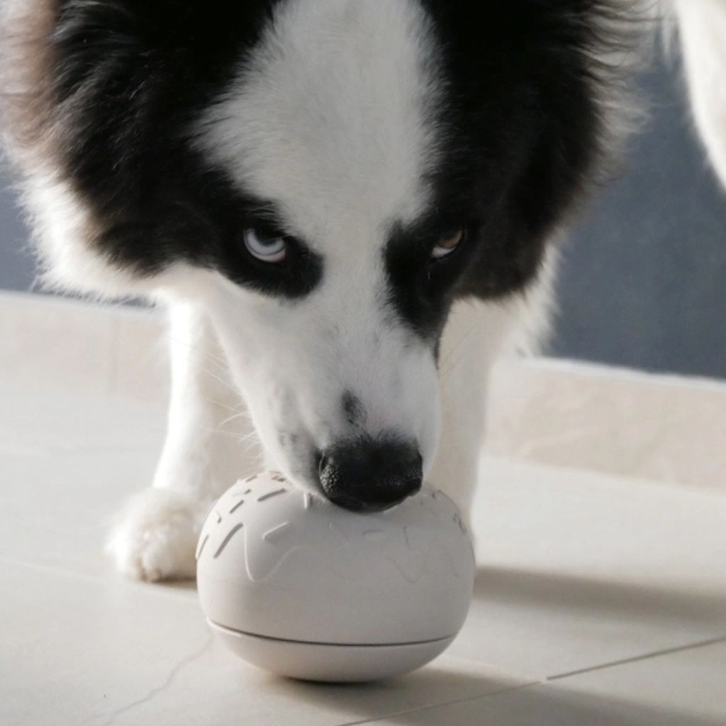 Inooko-Yoomy-Donut-Sand-Mood