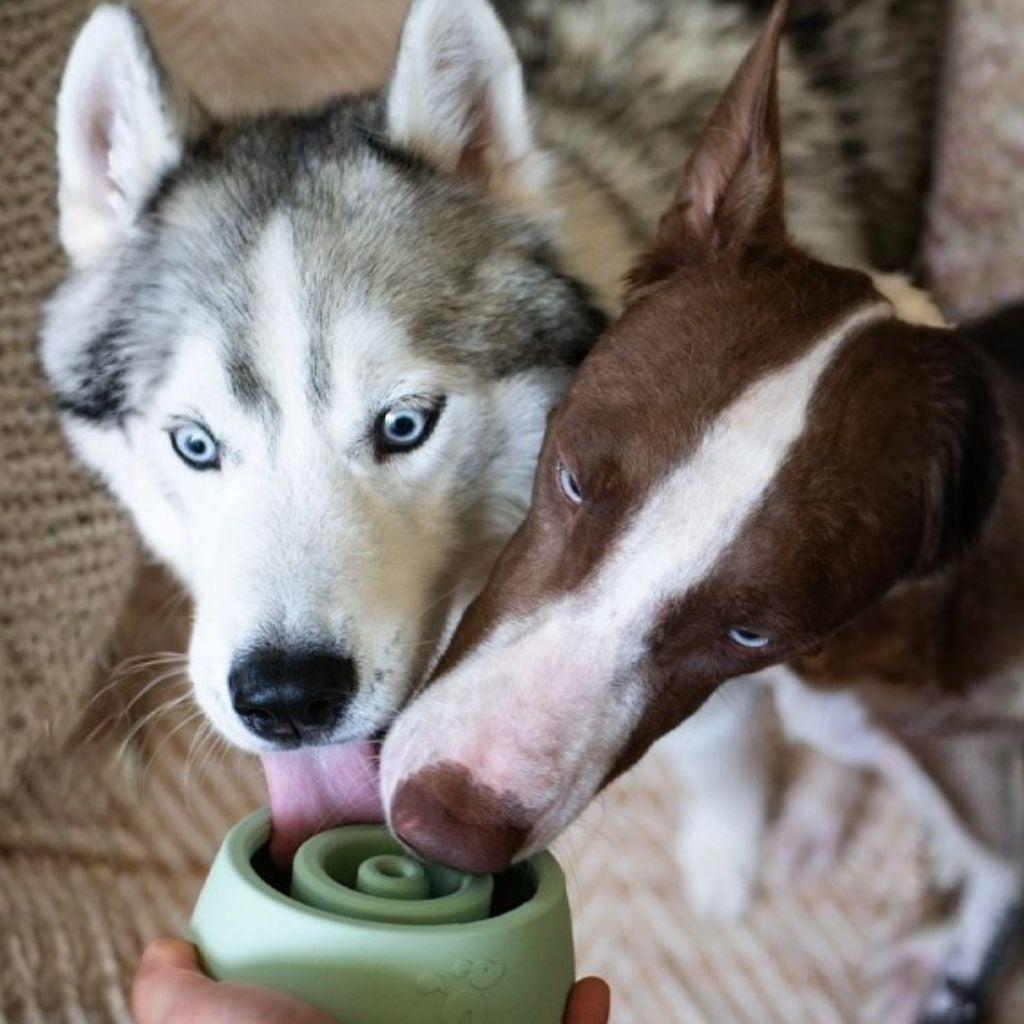 Inooko-Yoomy-Wobble-Salbei-Hund