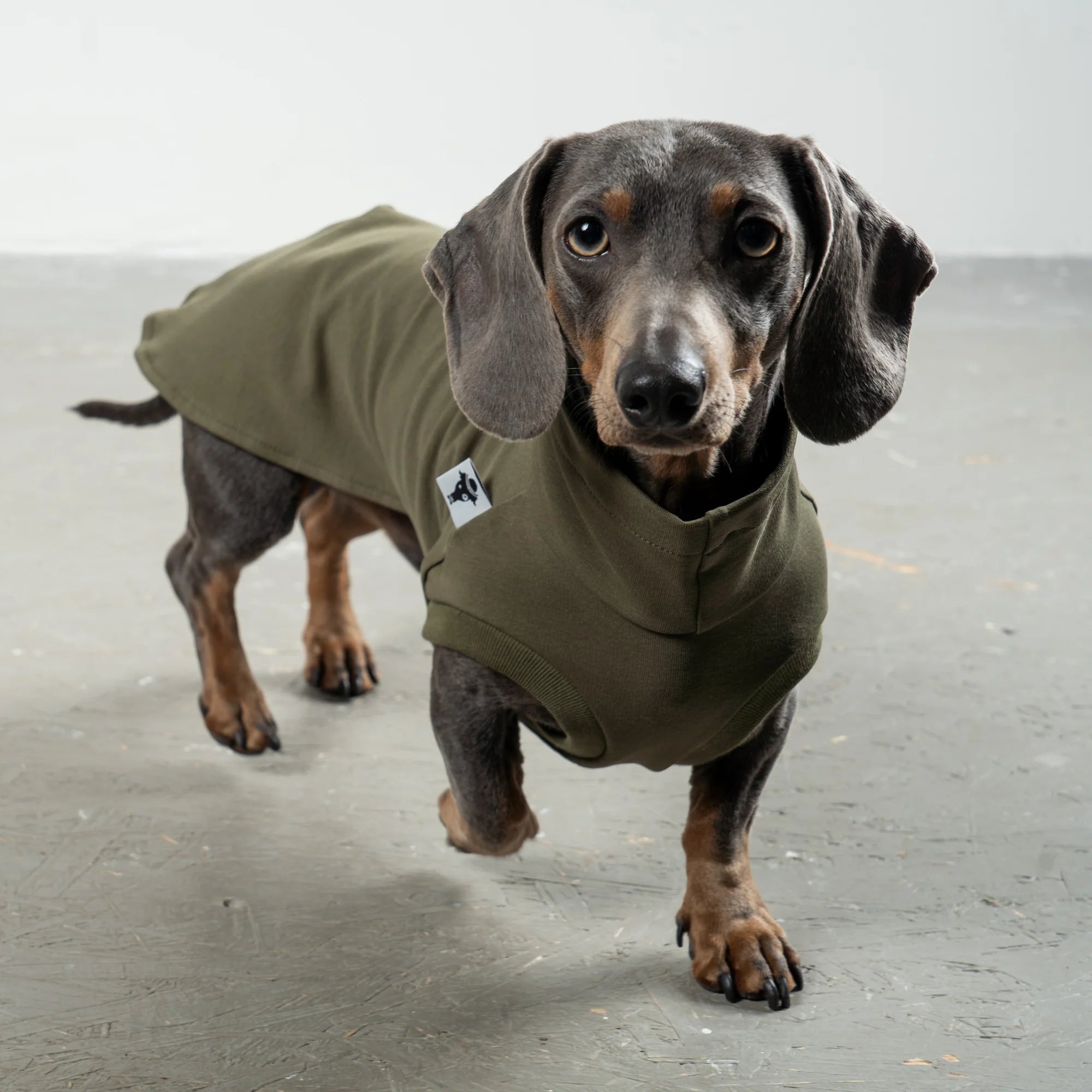 Karma-Hund-Baumwollshirt-Dackel-DarkOlive-3