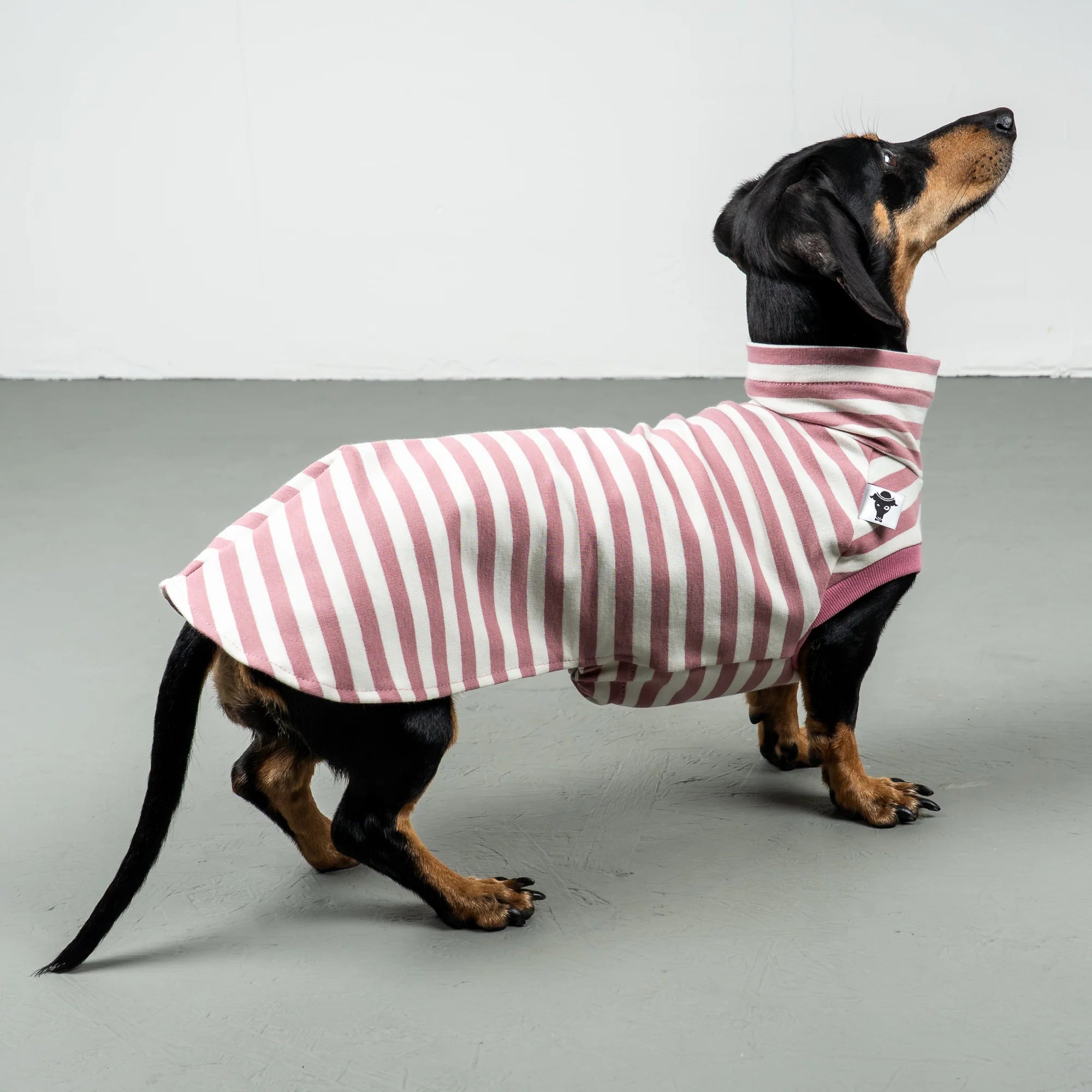 Karma-Hund-Baumwollshirt-Dackel-Pink-Stripes-3