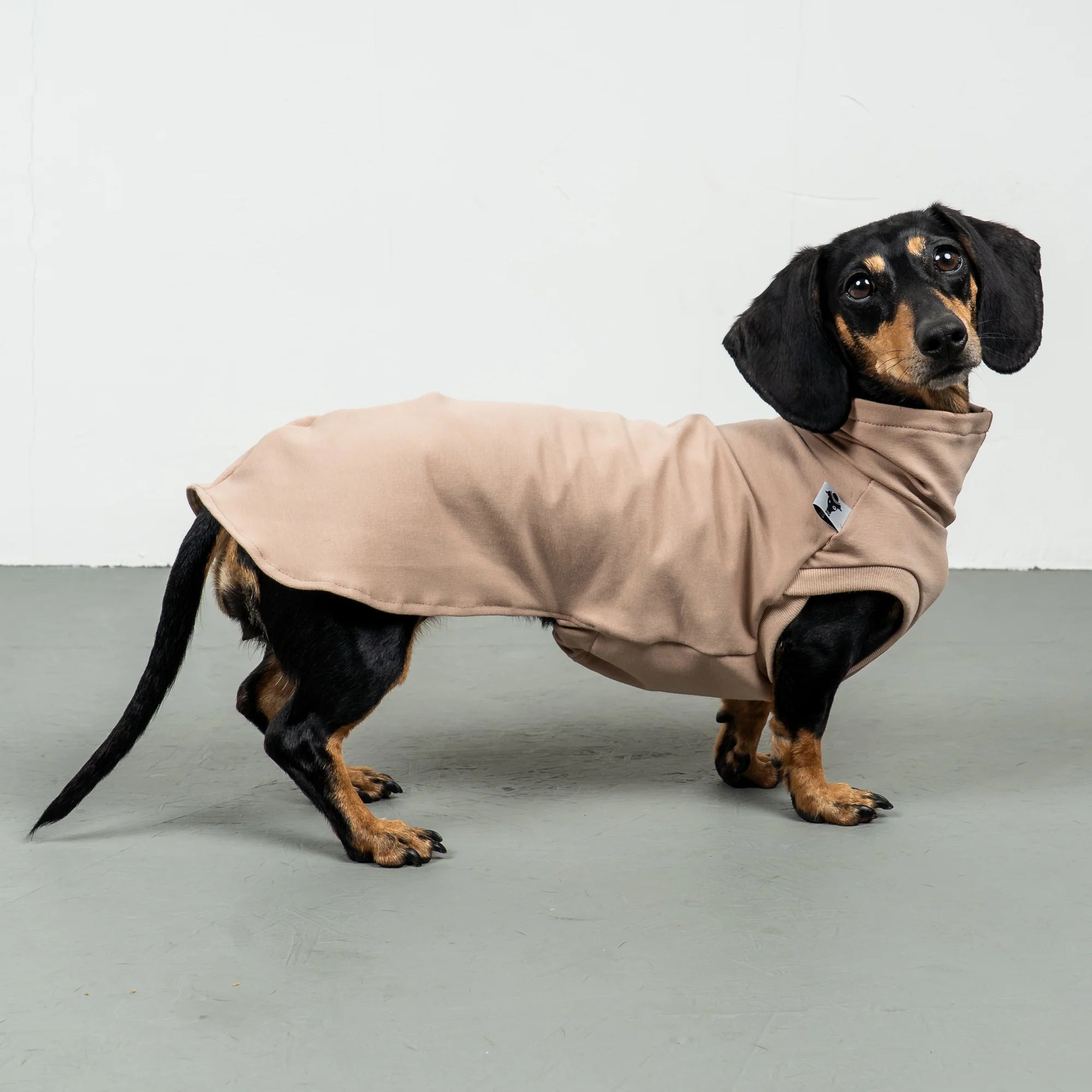 Karma-Hund-Baumwollshirt-Dackel-Puder-Beige-4