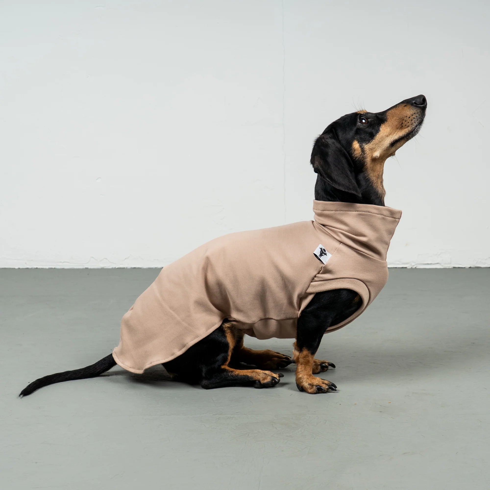 Karma-Hund-Baumwollshirt-Dackel-Puder-Beige-5