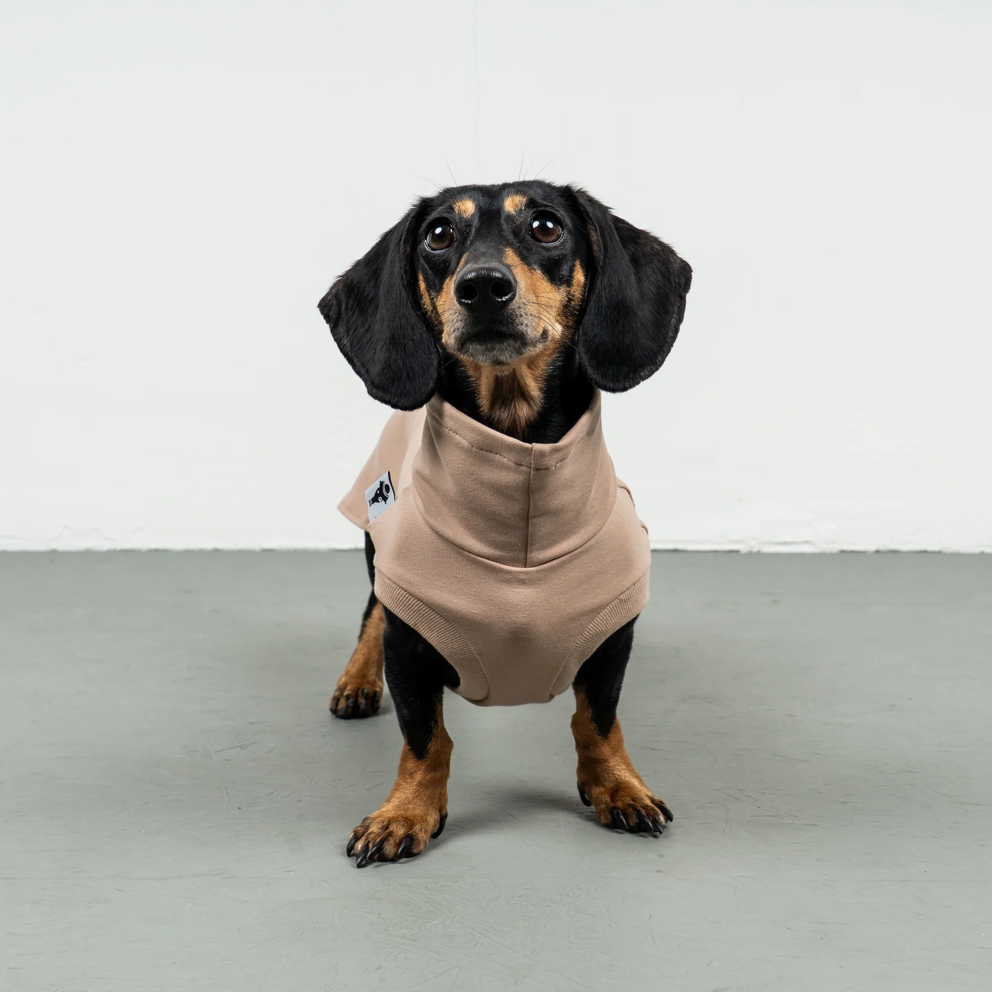 Karma-Hund-Baumwollshirt-Dackel-Puder-Beige-7