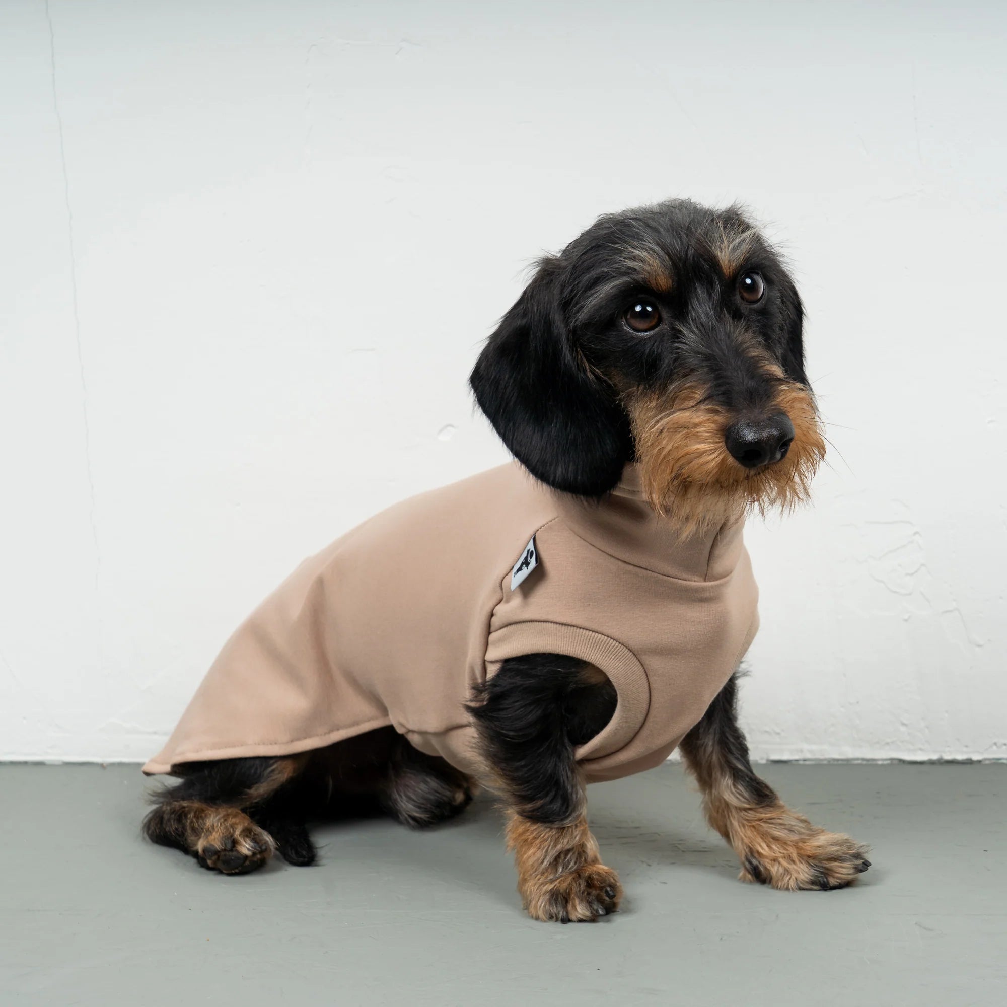 Karma-Hund-Baumwollshirt-Dackel-Puder-Beige-8