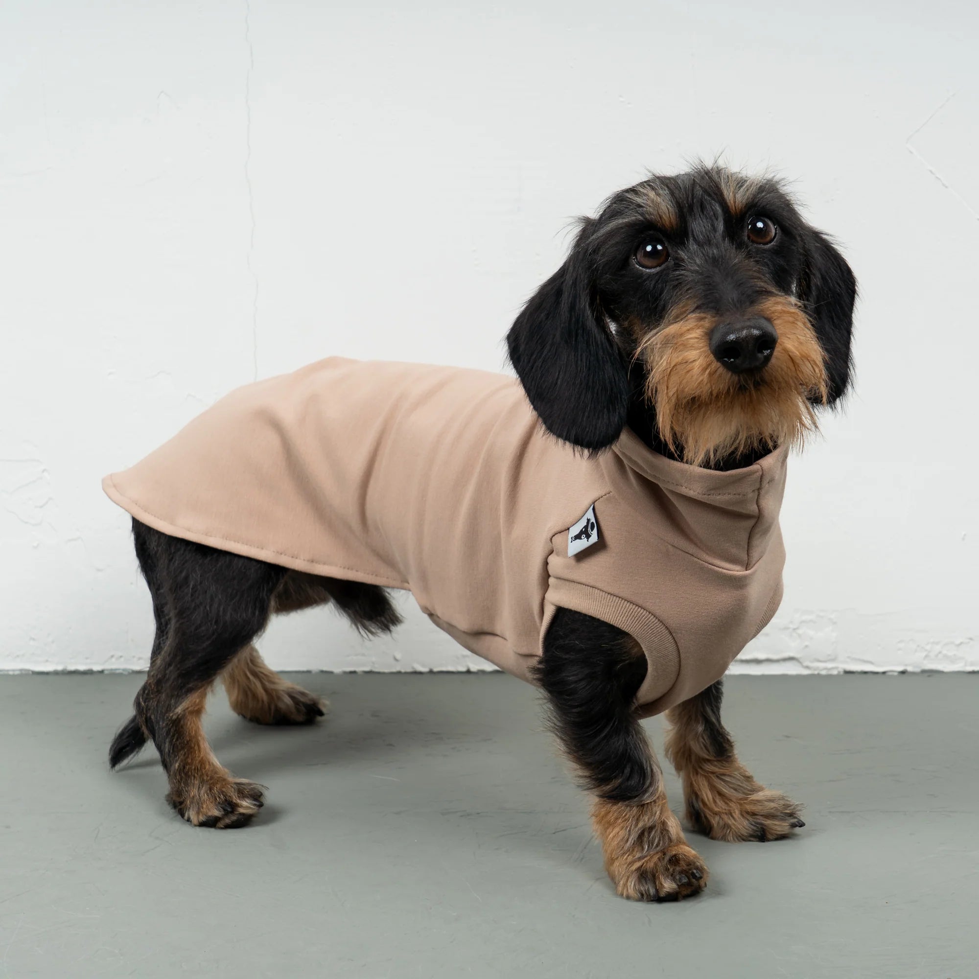 Karma-Hund-Baumwollshirt-Dackel-Puder-Beige