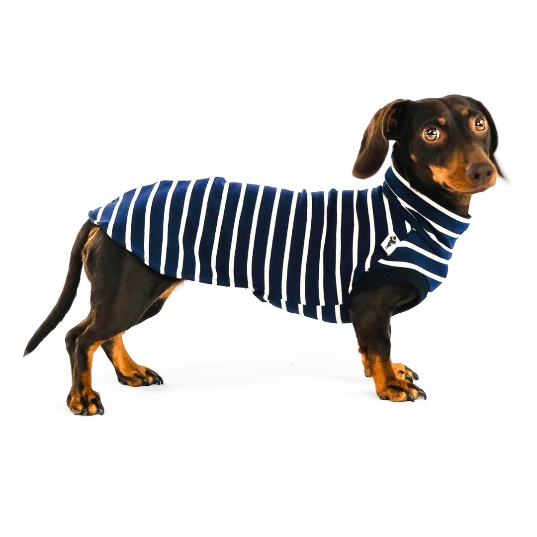 Karma-Hund-Dackel-Cotton-Shirt-Navy-Hund
