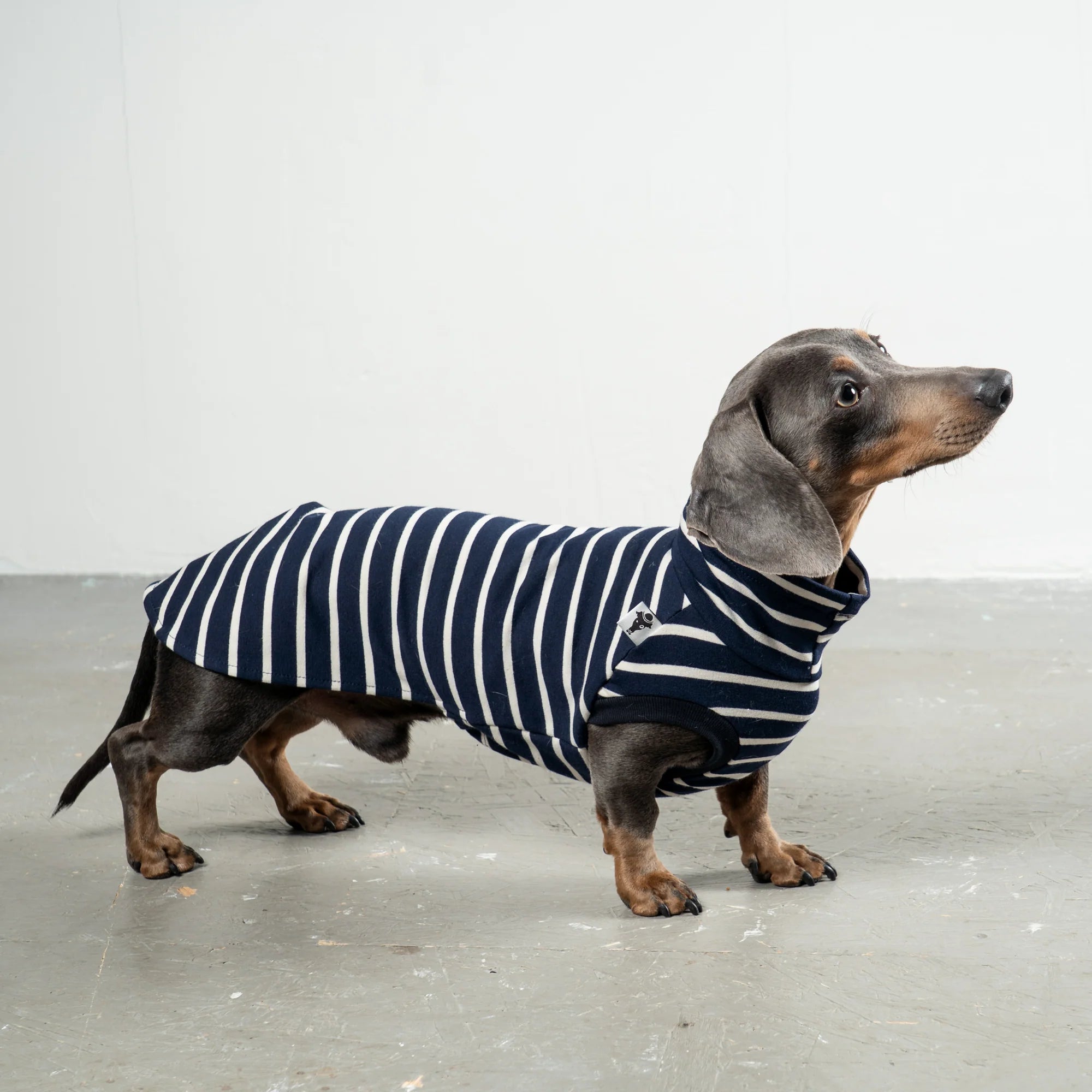 Karma-Hund-Dackel-Cotton-Shirt-Navy-Hund2