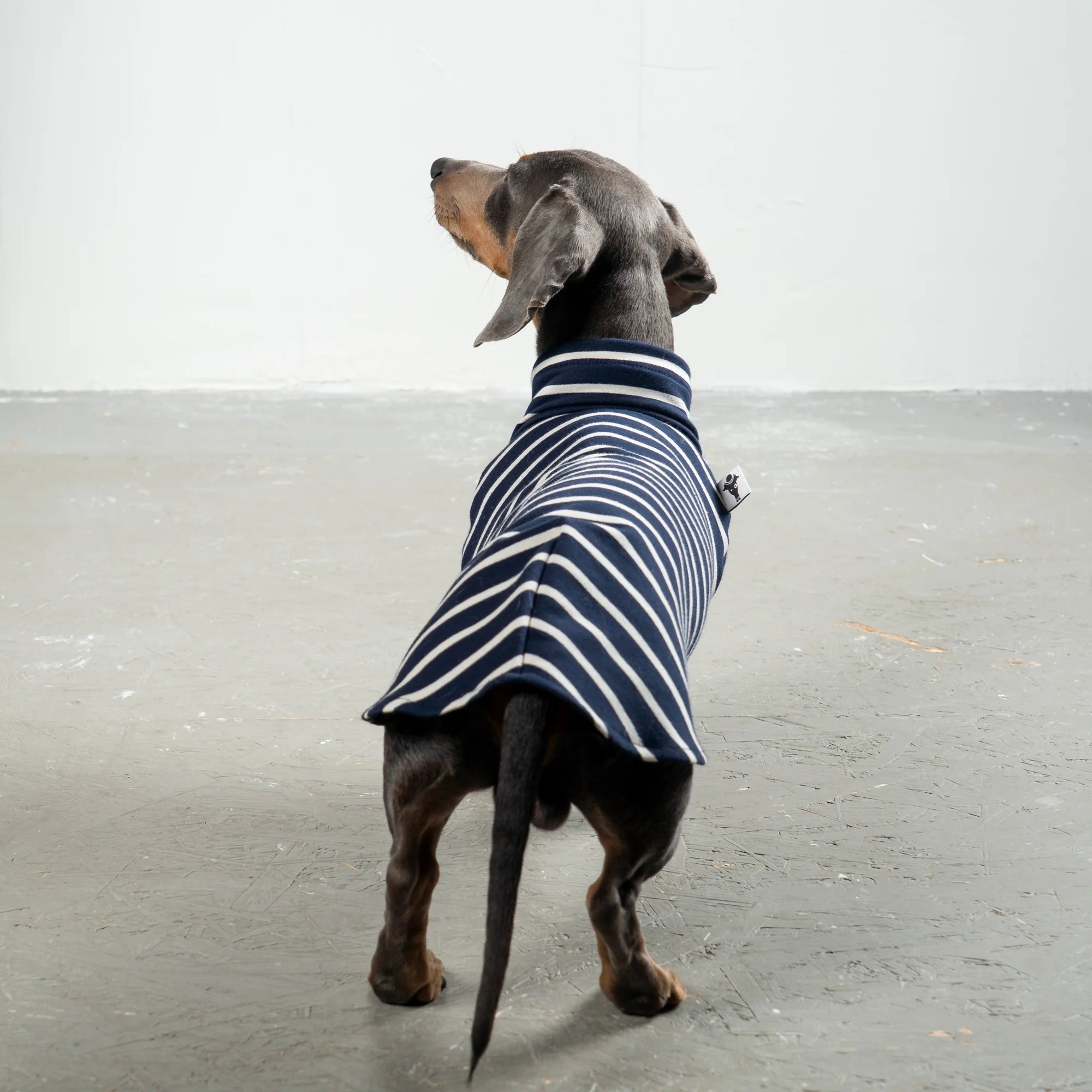 Karma-Hund-Dackel-Cotton-Shirt-Navy-Hund3