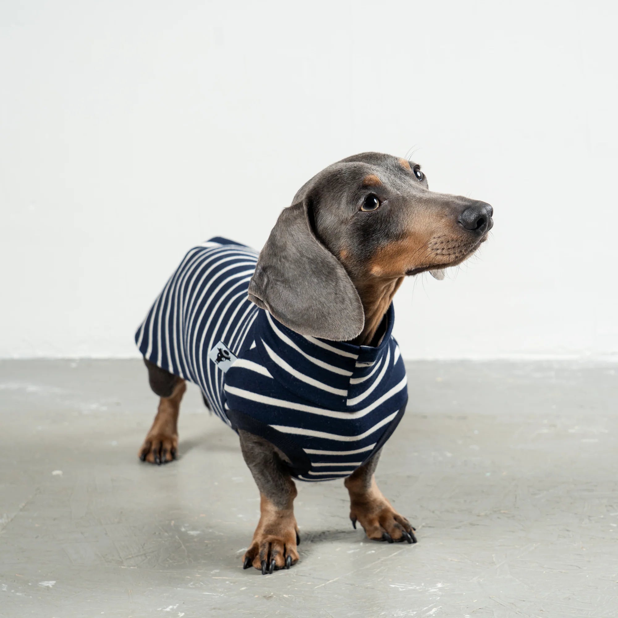 Karma-Hund-Dackel-Cotton-Shirt-Navy-Hund4