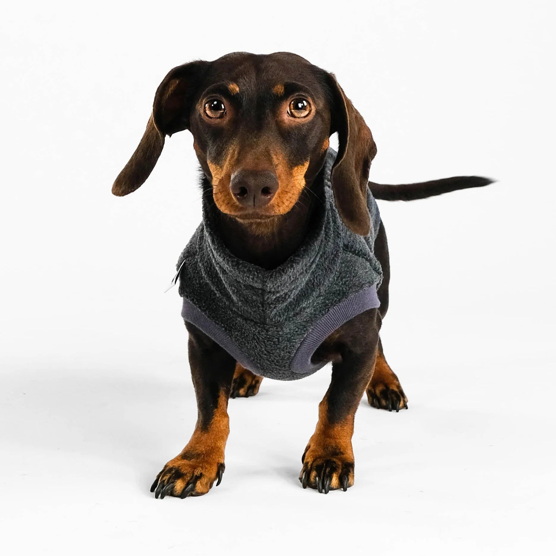 Karma-Hund-Dackel-Fleece-Longshirt-2.0-Anthrazit-2