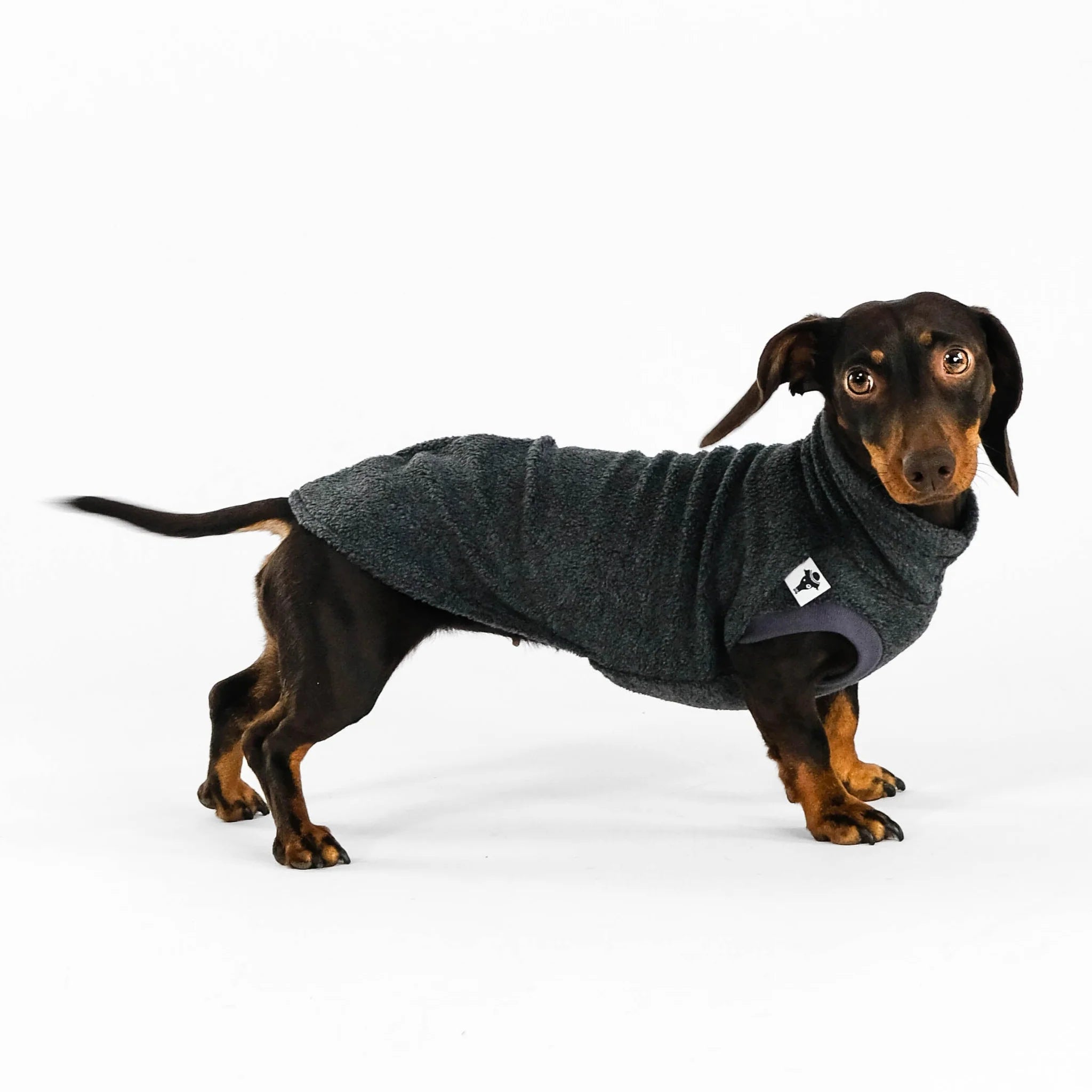 Karma-Hund-Dackel-Fleece-Longshirt-2.0-Anthrazit
