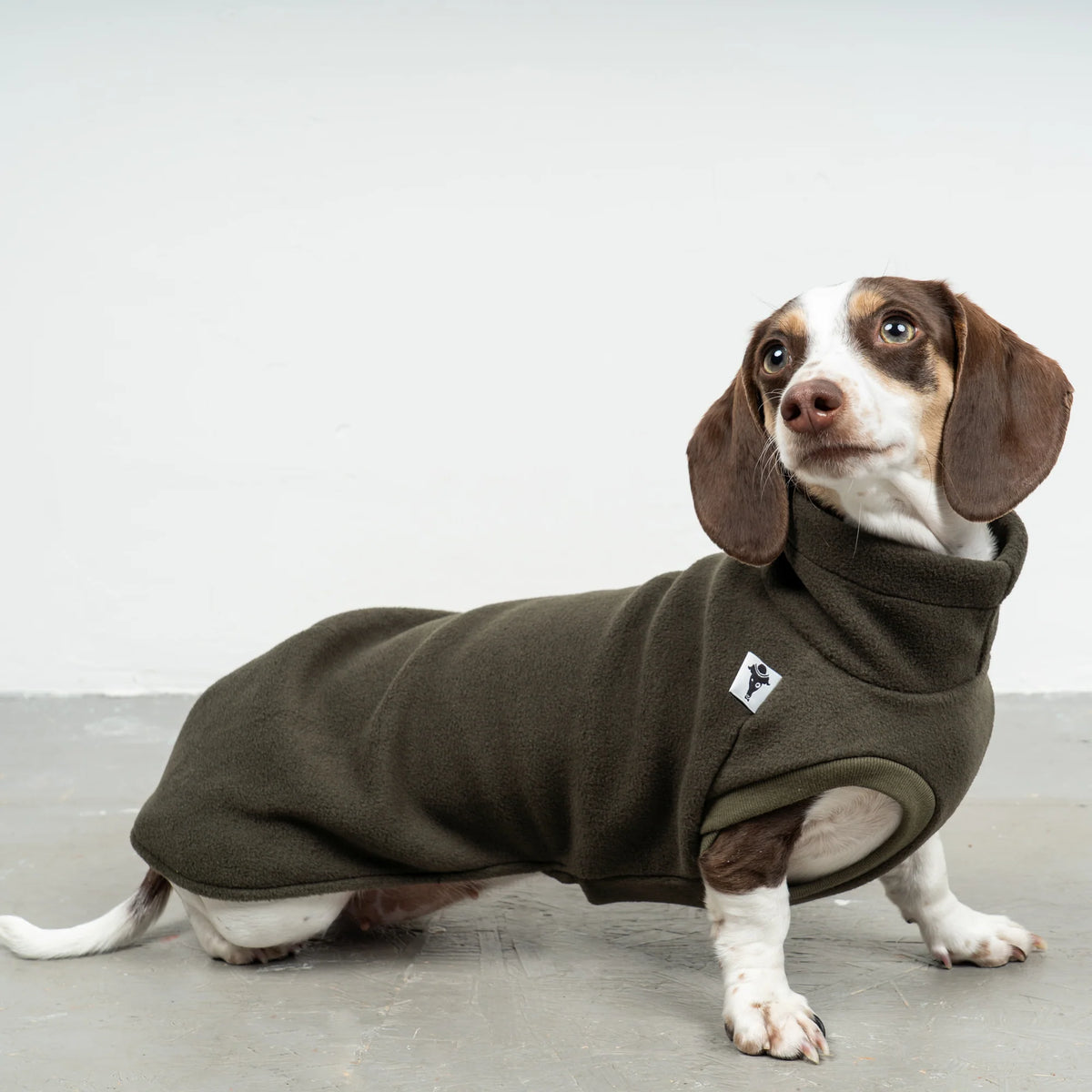 Karma-Hund-Dackel-Fleece-Longshirt-Dark-Olive