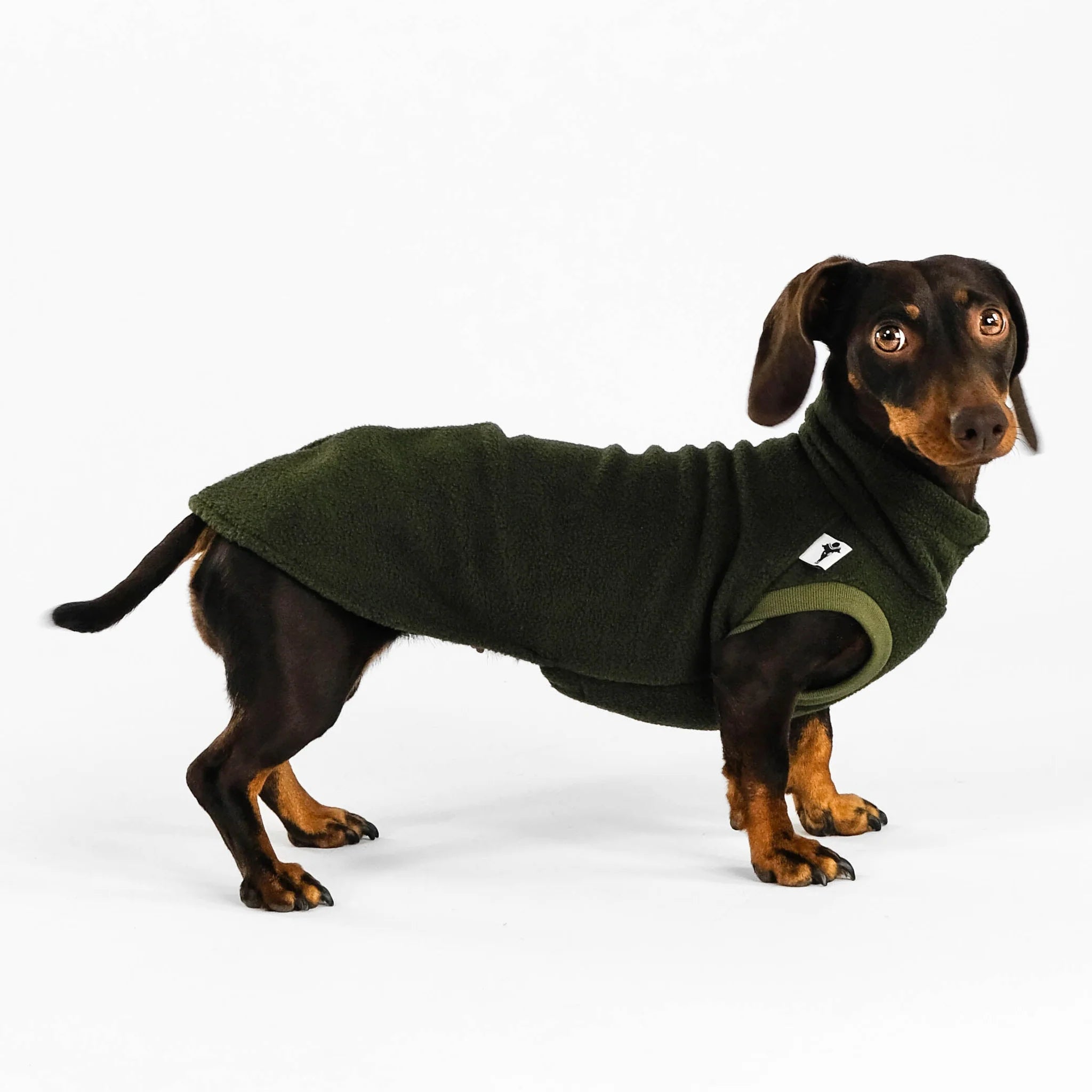 Karma-Hund-Dackel-Fleece-Longshirt-Dark-Olive
