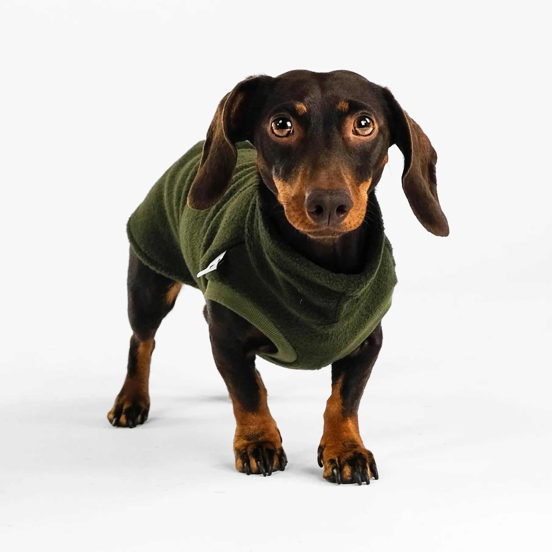 Karma-Hund-Dackel-Fleece-Longshirt-Dark-Olive3