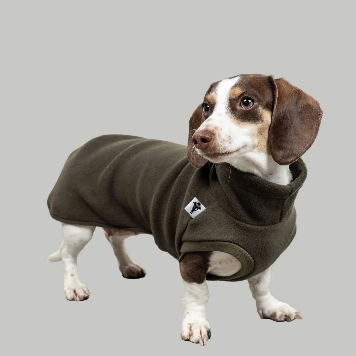 Karma-Hund-Dackel-Fleece-Longshirt-Dark-Olive5