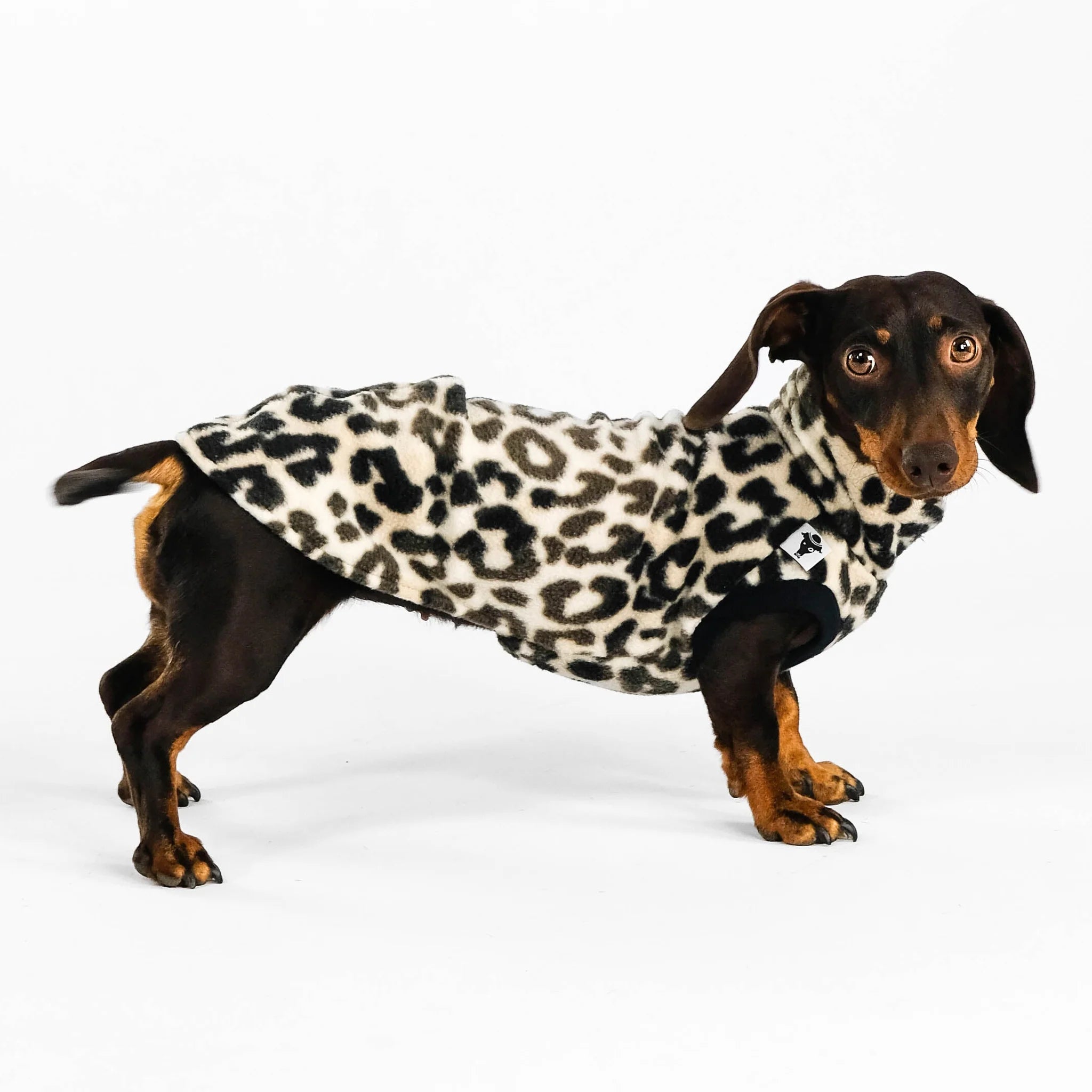 Karma-Hund-Dackel-Fleece-Longshirt-Leo