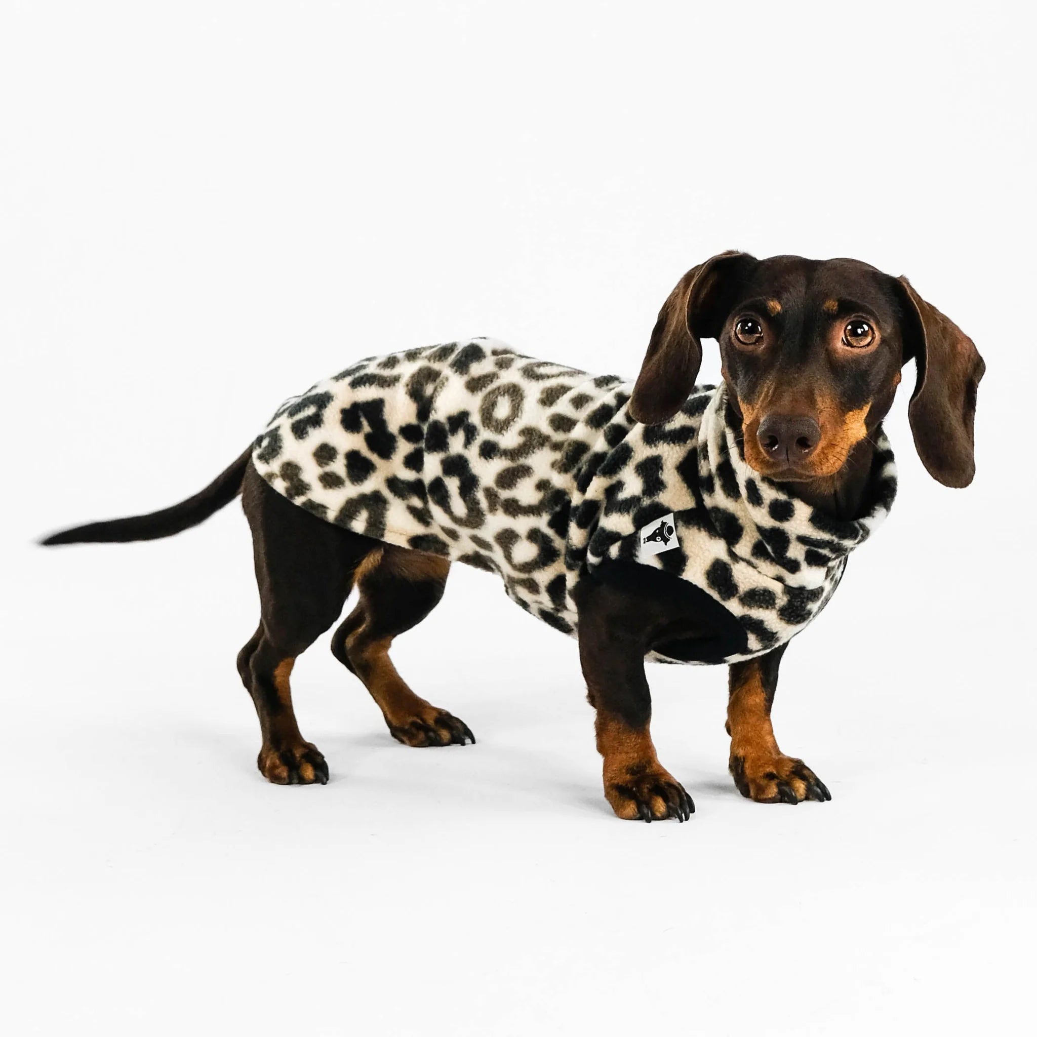 Karma-Hund-Dackel-Fleece-Longshirt-Leo2