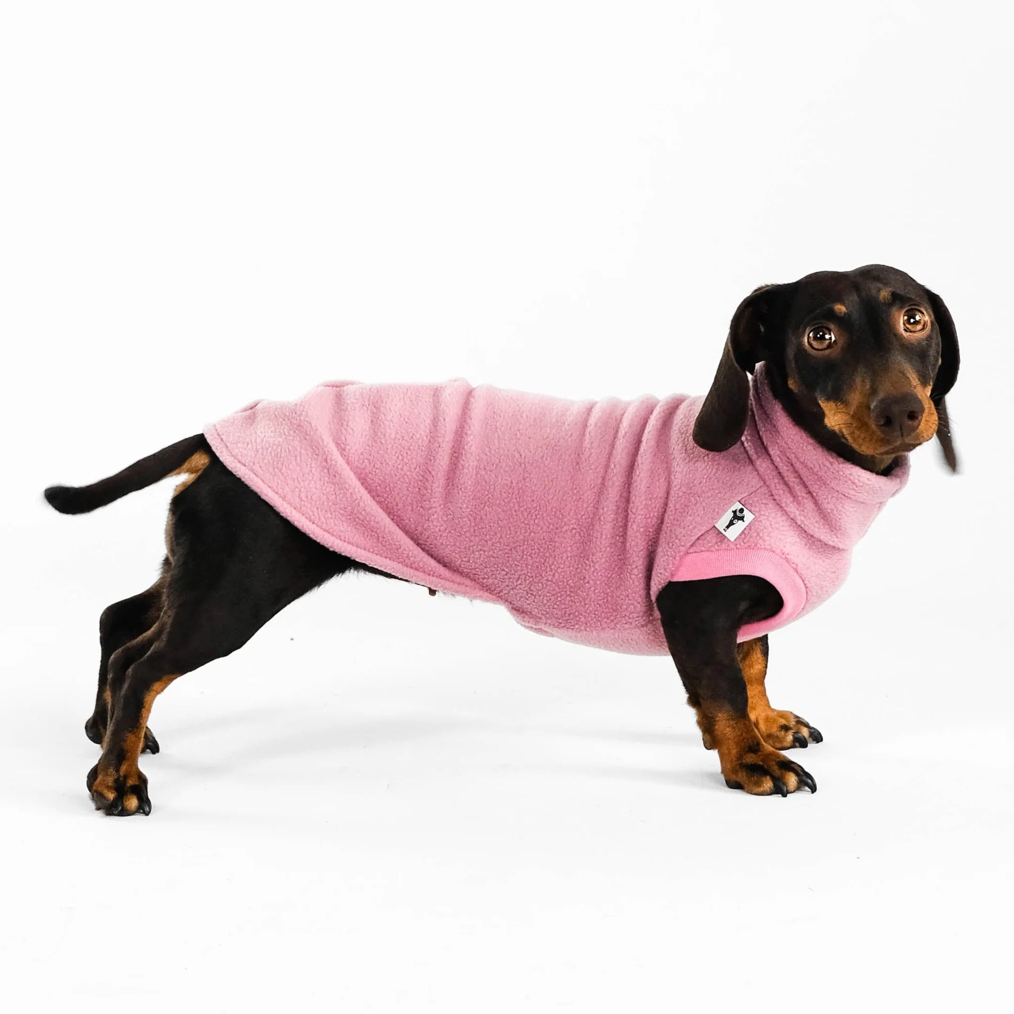 Karma-Hund-Dackel-Fleece-Longshirt-Mulberry