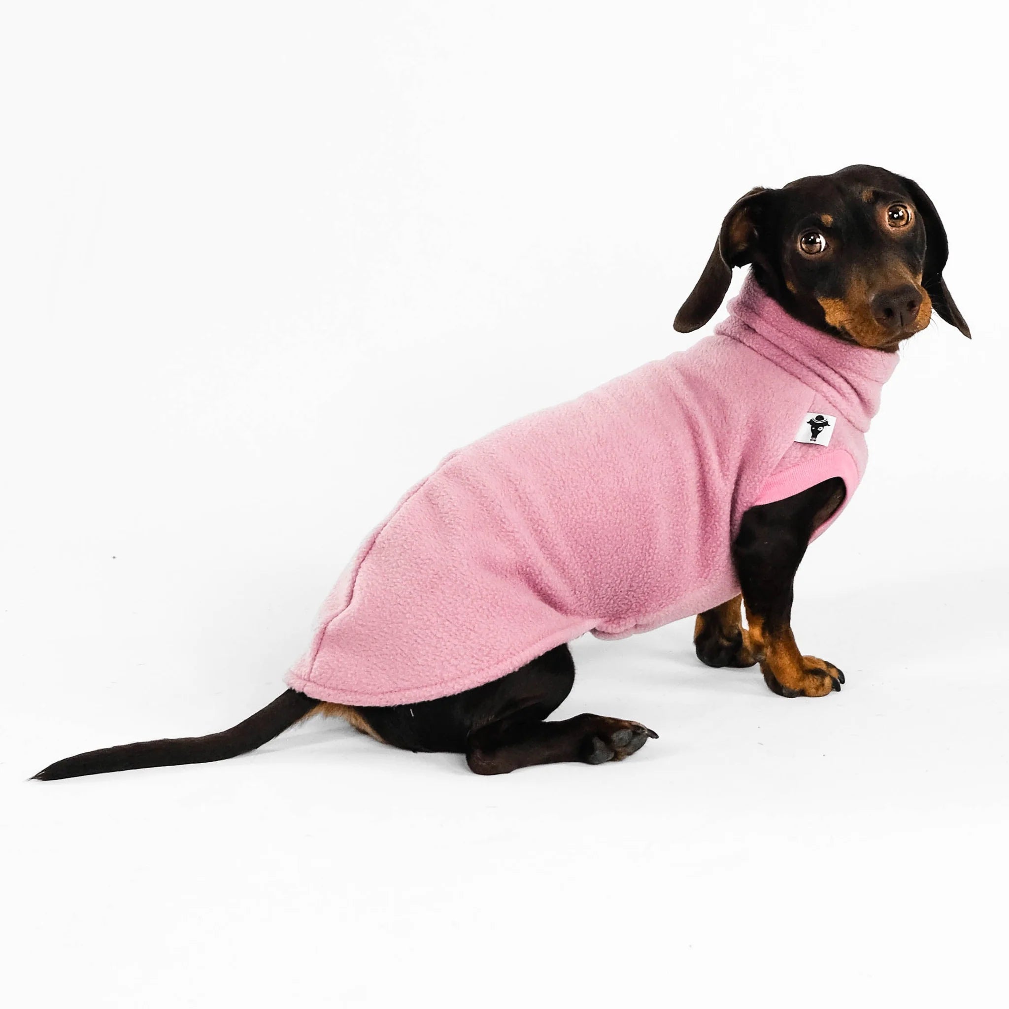 Karma-Hund-Dackel-Fleece-Longshirt-Mulberry2