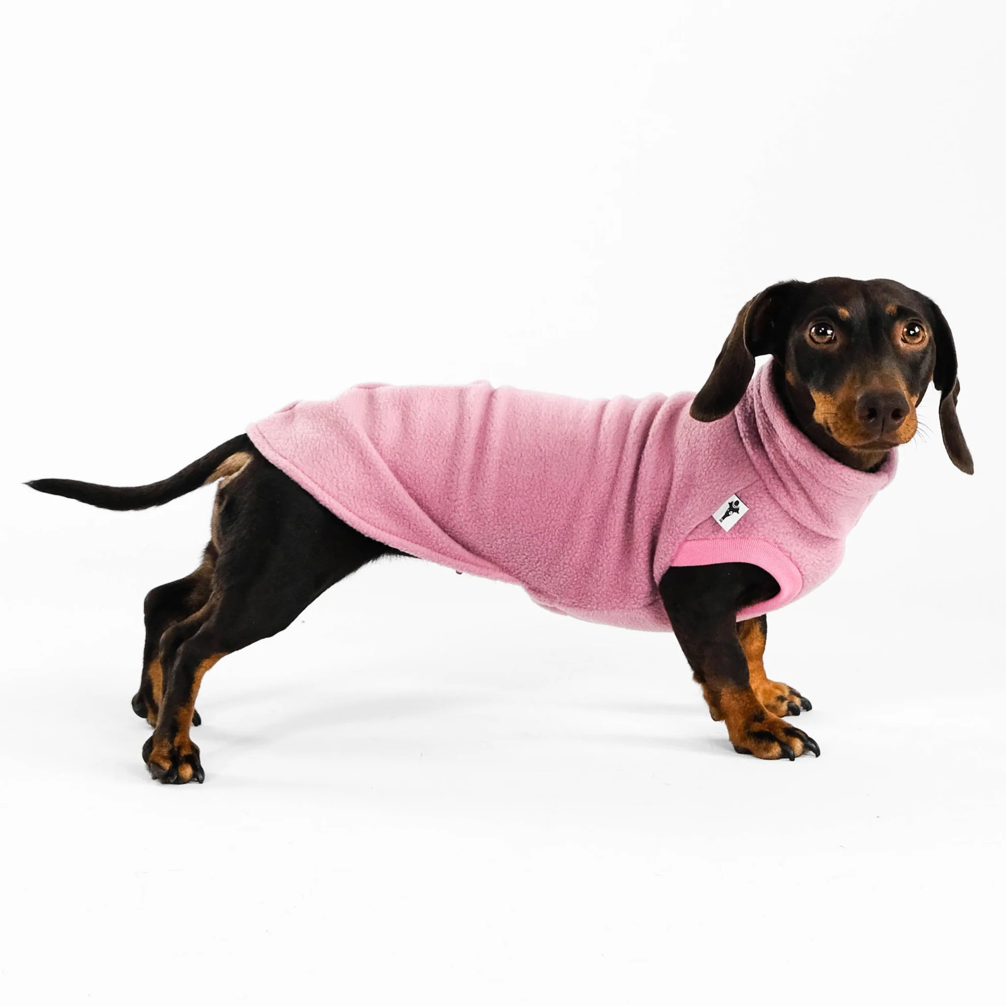Karma-Hund-Dackel-Fleece-Longshirt-Mulberry3